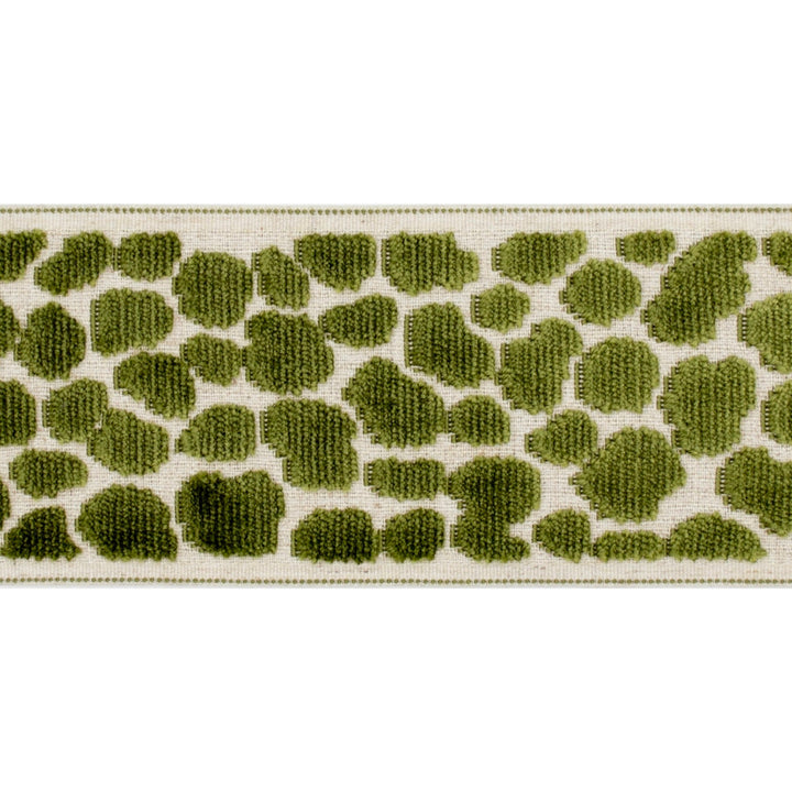 Alpas Lime by Europatex Fabric Alpas 100% Polyester 3.50 inches - Fabric Carolina -