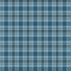 Cabana 1 Lake by Aoc Fabric