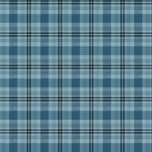 Cabana 1 Lake by Aoc Fabric
