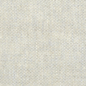 Cabestro 2 Chrome by Stout Fabric