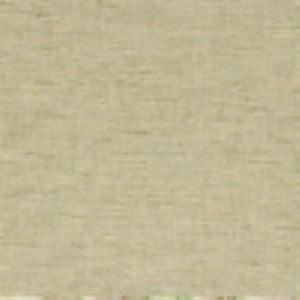 Cabot Fern by Norbar Designer Fabric CABOT 100% POLYESTER CHINA 55 - Swanky Fabrics -