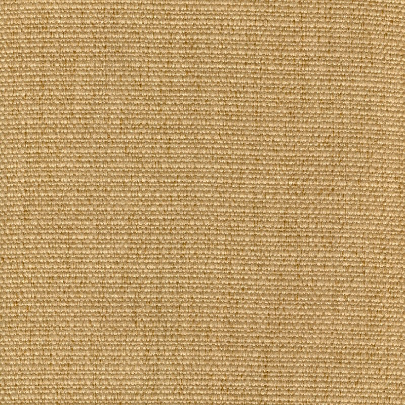 Cachay Gold by Magnolia Fabric - 100% Poly China 50000 Horizontal: 0 and Vertical: 0 55" - Fabric Carolina -