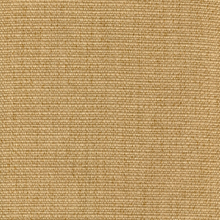 Cachay Gold by Magnolia Fabric - 100% Poly China 50000 Horizontal: 0 and Vertical: 0 55" - Fabric Carolina -