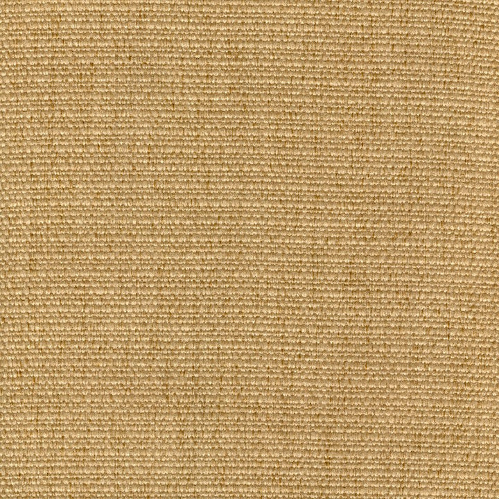 Cachay Gold by Magnolia Designer Fabric - 100% Poly China 50000 Horizontal: 0 and Vertical: 0 55" - Swanky Fabrics -
