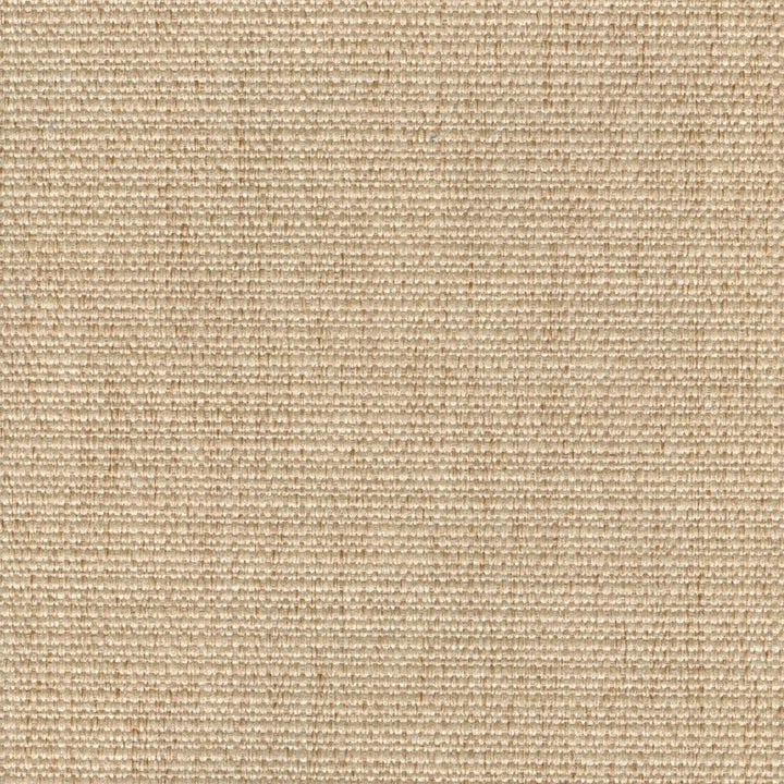 Cachay Oatmeal by Magnolia Fabric - 100% Poly China 50000 Horizontal: 0 and Vertical: 0 55" - Fabric Carolina -