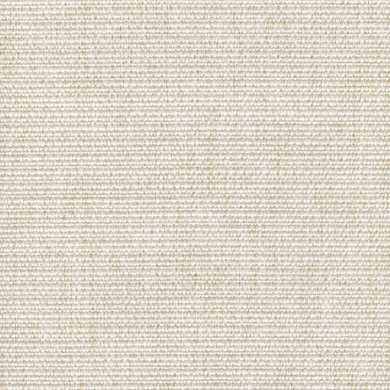 Cachay Pearl by Magnolia Fabric - 100% Poly China 50000 Horizontal: 0 and Vertical: 0 55" - Fabric Carolina -