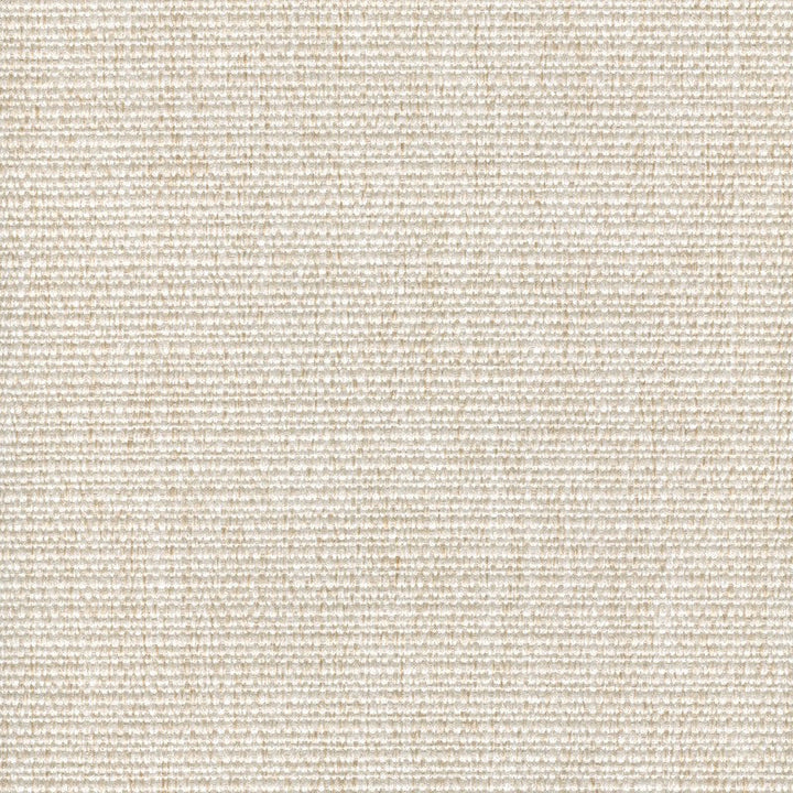 Cachay Pearl by Magnolia Designer Fabric - 100% Poly China 50000 Horizontal: 0 and Vertical: 0 55" - Swanky Fabrics -
