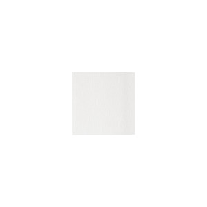 Call Me White Riot by Kravet Contract Fabric