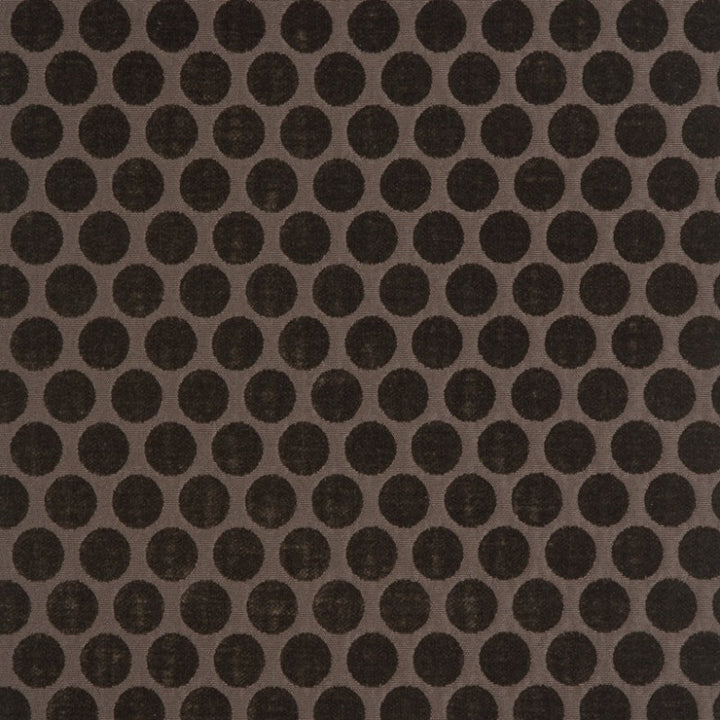 Cirque # 109 Coffee by Maxwell Fabric STUDIO-PARIS 48% POLYESTER 45% ACRYLIC
7% VISCOSE TURKEY </p><p>Repeat: Horizontal: H-1.1 and Vertical: V-1.75 55.5" - Fabric Carolina -