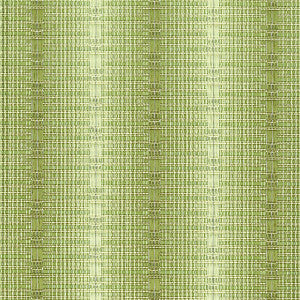 Camden 5 Olive by Stout Fabric