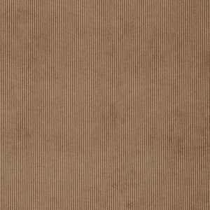 Campbell 34J7031 by JF Crypton Fabric