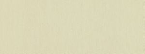 Campo Natural 11 by Norbar Fabric