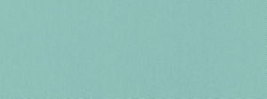 Campo Sky Blue 528 by Norbar Fabric CAMPO 100% COTTON INDIA 54" - Fabric Carolina -