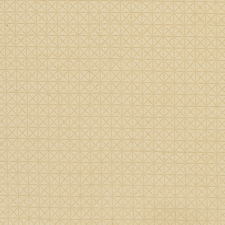 CANARY 15J8221 by JF Fabric Glisten 100% Polyester India Horizontal: 1 and Vertical: 1 54 - Fabric Carolina -