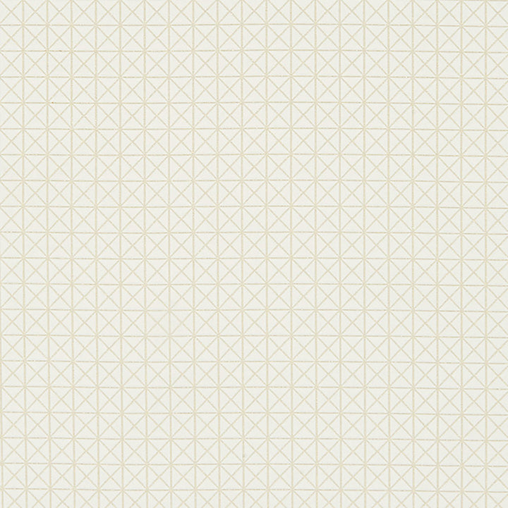 CANARY 92J8221 by JF Fabric Glisten 100% Polyester India Horizontal: 1 and Vertical: 1 54 - Fabric Carolina -