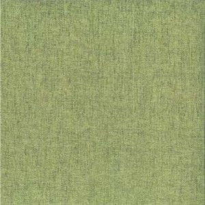 Cancun Aloe by Norbar Fabric 100% POLYESTER INDIA 54" - Fabric Carolina -