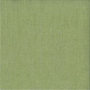 Cancun Grass by Norbar Fabric