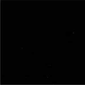 Cancun Onyx by Norbar Fabric 100% POLYESTER INDIA 54" - Fabric Carolina -