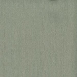 Canton Celedon 29 by Norbar Fabric