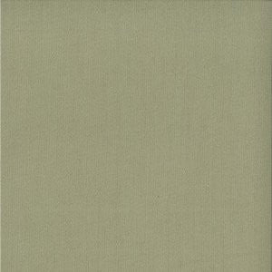 Canton Fennel 30 by Norbar Fabric See Sample 80% POLYESTER - 20% RAYON - - </p><p>Repeat: Horizontal: - and Vertical: - 55" - Fabric Carolina -