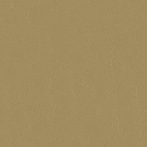 Capitano 513937 Totally Tan by ABBEYSHEA Fabric