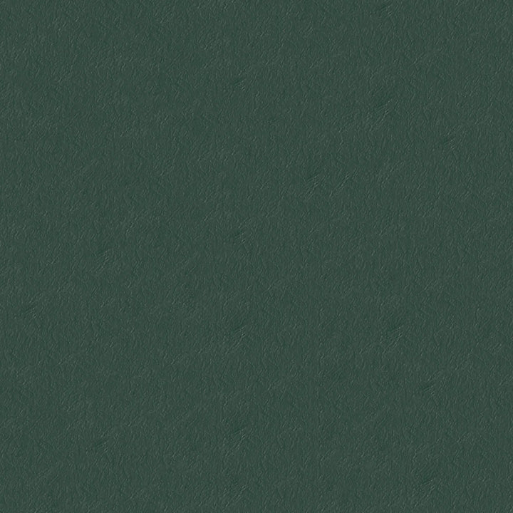 Capitano 514009 Galapagos by ABBEYSHEA Fabric 100% Vinyl face Thailand 100,000 Double Rubs (Wyzenbeek) </p><p>Repeat: Horizontal: and Vertical: 54" (137 cm) - Fabric Carolina -