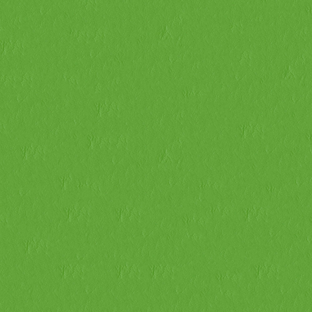Capitano 517588 Parakeet by ABBEYSHEA Fabric 100% Vinyl face Thailand 100,000 Double Rubs (Wyzenbeek) </p><p>Repeat: Horizontal: and Vertical: 54" (137 cm) - Fabric Carolina -