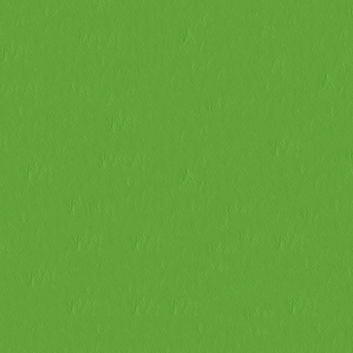 Capitano 517588 Parakeet by ABBEYSHEA Fabric 100% Vinyl face Thailand 100,000 Double Rubs (Wyzenbeek) </p><p>Repeat: Horizontal: and Vertical: 54" (137 cm) - Fabric Carolina -