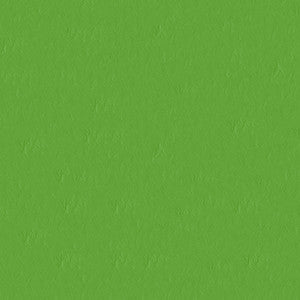 Capitano 517588 Parakeet by ABBEYSHEA Fabric