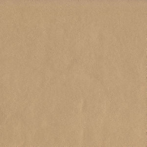 Capital Champagne 102 by Norbar Fabric EPIC 100% PVC CHINA 55 - Fabric Carolina -