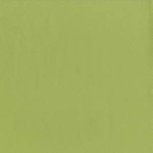 Capital Meadow 21 by Norbar Fabric