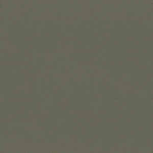 Capital Mocha 802 by Norbar Fabric