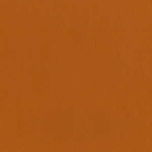 Capital Pumpkin Spice 44 by Norbar Fabric EPIC 100% PVC CHINA 55 - Fabric Carolina -