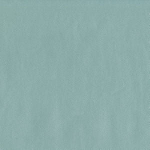 Capital Spa 34 by Norbar Designer Fabric EPIC 100% PVC CHINA 55 - Swanky Fabrics -