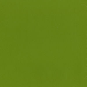 Capital Spring 205 by Norbar Fabric EPIC 100% PVC CHINA 55 - Fabric Carolina -