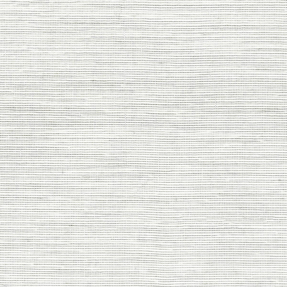 Capote 1 Silver by Stout Designer Fabric Color My Window Grey/Cinder 96% Polyester 4% Spun Viscose TURKEY FLAME RETARDANT-CA BULLETIN 117-SECTION E FLAME RETARDANT-U.F.A.C. CLASS 1 (OR A) Horizontal: 0 and Vertical: 0 59 in - Swanky Fabrics -