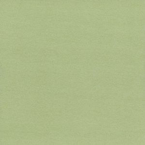 Caprio Celery by Norbar Designer Fabric 100% POLYESTER INDIA 54 - Swanky Fabrics -