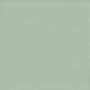 Caprio Eucalyptus by Norbar Designer Fabric 100% POLYESTER INDIA 54 - Swanky Fabrics -