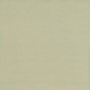 Caprio Honeydew by Norbar Fabric 100% POLYESTER INDIA 54 - Fabric Carolina -