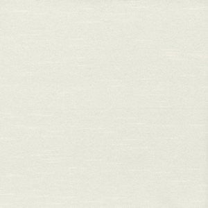 Caprio Oyster by Norbar Fabric 100% POLYESTER INDIA 54 - Fabric Carolina -