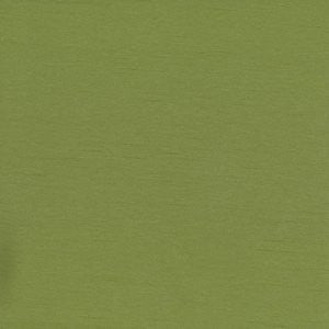 Caprio Parsley by Norbar Fabric 100% POLYESTER INDIA 54 - Fabric Carolina -