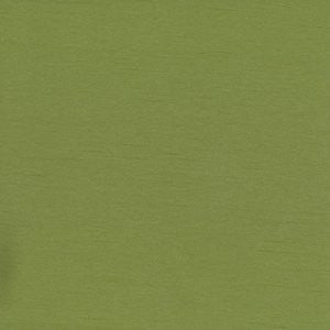 Caprio Parsley by Norbar Fabric