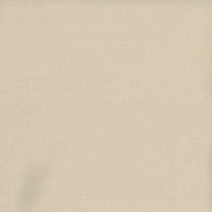 Caprio Pebble by Norbar Fabric 100% POLYESTER INDIA 54 - Fabric Carolina -