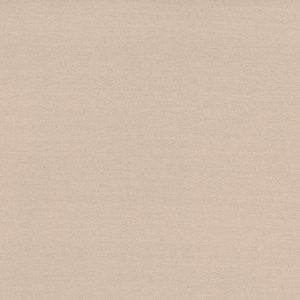 Caprio Tussah by Norbar Fabric