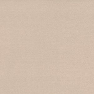 Caprio Tussah by Norbar Fabric