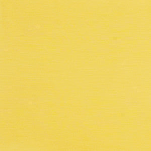 Capri 13J6121 by JF Fabric