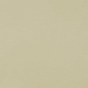 Capri 170J6121 by JF Fabric