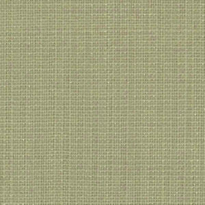Capri Moss 5 by Norbar Fabric CAPRI 100% POLYESTER MEXICO 54 - Fabric Carolina -