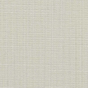 Capri Sand Dollar 30 by Norbar Fabric CAPRI 100% POLYESTER MEXICO 54 - Fabric Carolina -