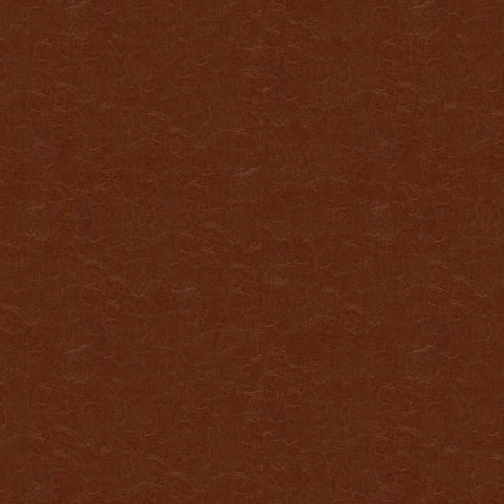 Captured Cappucio by Kravet Couture Fabric - NYLON - 100% United States HEAVY Horizontal: - and Vertical: - 54 - Fabric Carolina -